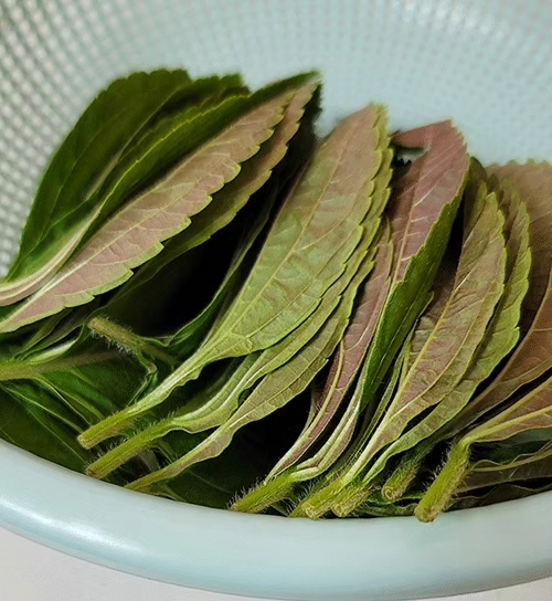 (언니네)노지 깻잎 50g(25~28장) 상세 사진 1