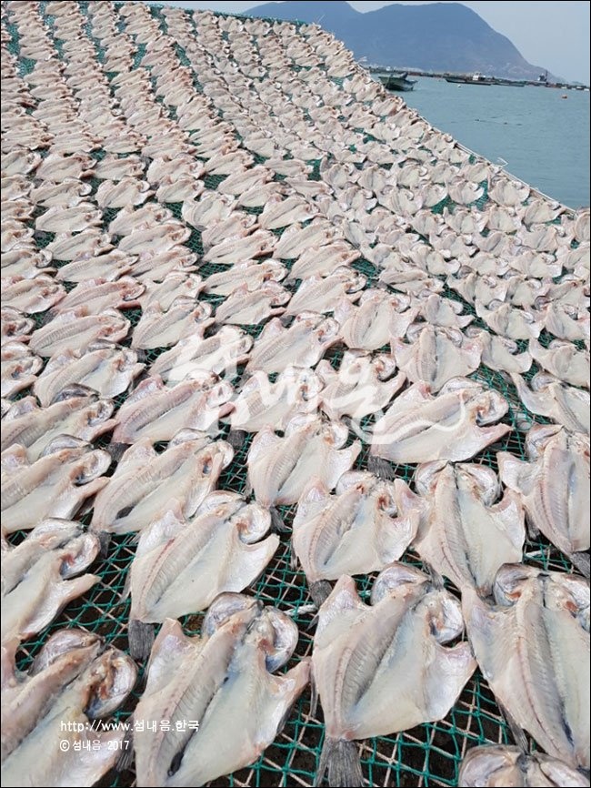 흑산도 자연산 우럭 (급냉) 상세 사진 1