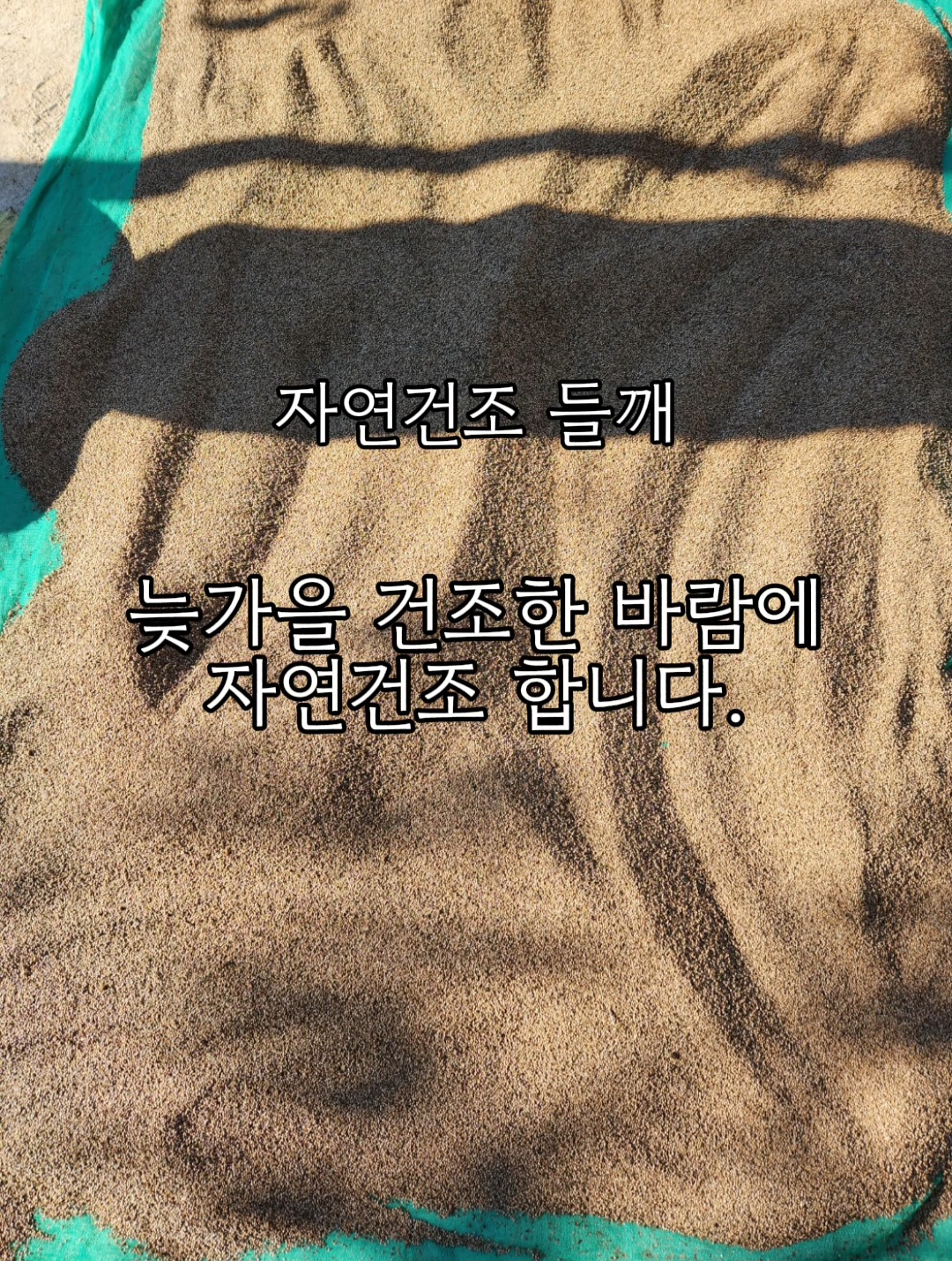 국산 생들기름 320mL 상세 사진 2